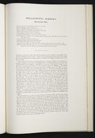 Monograph of the Pittidae, 1:8