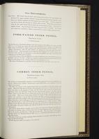 Birds of Europe, 1:416