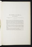 Monograph of the Pittidae, 1:42