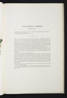 Monograph of the Pittidae, 1:34