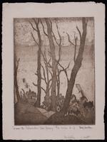 From the Palisades - New Jersey