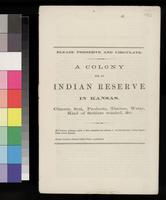 ku-kansascollection:2171-1