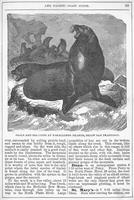 ku-kansascollection:146-111