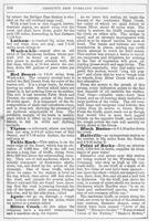 ku-kansascollection:146-116