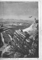 ku-kansascollection:146-119