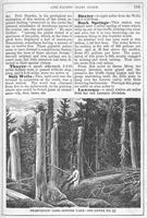 ku-kansascollection:146-121