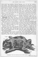 ku-kansascollection:146-131