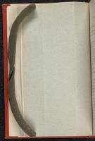 ku-kansascollection:2986-24