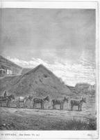 ku-kansascollection:146-199