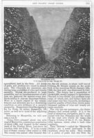 ku-kansascollection:146-231