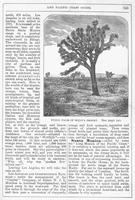 ku-kansascollection:146-293