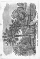 ku-kansascollection:146-308