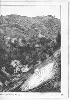 ku-kansascollection:146-319