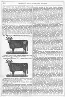 ku-kansascollection:146-326