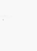 ku-kansascollection:491-3