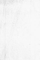 ku-kansascollection:649-204