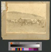 Haley's Sheep Camp on Big Horn Mountains, probably Wyoming or Montana