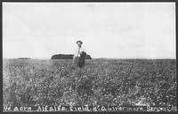 W.A. Livermore Farm - Sargent, Nebraska
