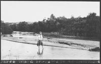 W.A. Livermore Farm - Sargent, Nebraska
