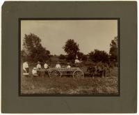 Gathering Melons at Walnut Ave. Fruit Farm