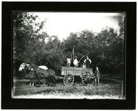 Spraying Fruit Trees (Possibly Walnut Ave. Fruit Farm)