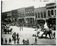 Parade scene with two elephants and some horse carriages (Semi-Centennial Parade)