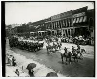 Parade scene of over a dozen horses pulling machinery (Semi-Centennial Parade)
