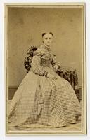 Portrait of young girl with a large gingham dress