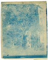 First Unitarian Church, View of South Side Through Trees