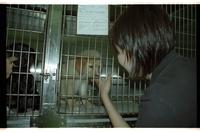 Lawrence Humane Society