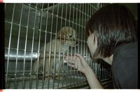 Lawrence Humane Society