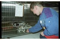 Lawrence Humane Society