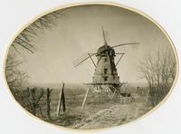 Windmill - Front view - looking down road towards windmill