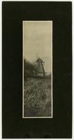 Windmill - Front and side with shock of weeds in foreground