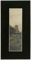 Windmill - Front and side with shock of weeds in foreground