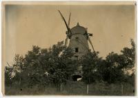 Windmill - Side view with trees