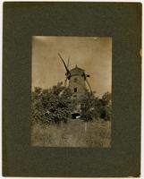 Windmill - Side view with trees