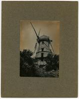 Windmill - Side view with trees