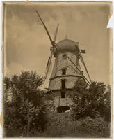 Windmill - Side view with trees