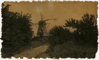 Windmill - Front view with trees and road
