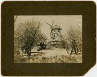 Windmill - Side view showing trees, rock wall, and horse