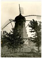 Windmill - Front view with trees in foreground