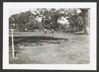 Cordley School Playground