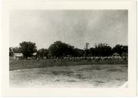 Cordley School Playground