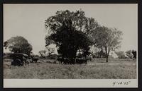 Kaw Valley Paving Company quarry in McNary's pasture