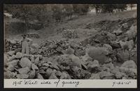 Kaw Valley Paving Company quarry in McNary's pasture