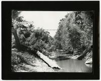Woman on Suspension Bridge Over Wakarusa River
