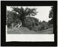 Two Men and a Woman on Suspension Bridge Over Wakarusa River