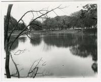 Lakeview- Looking Towards Buildings From Water