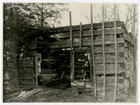 Ruins of Jacob Branson Cabin